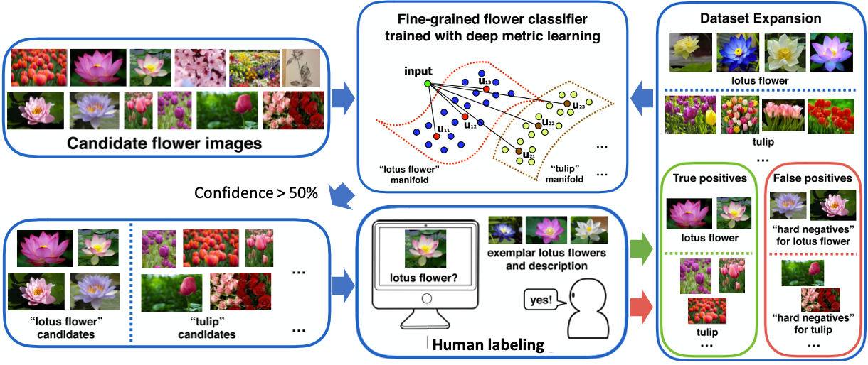 Fine-Grained Categorization & Dataset Bootstrapping Using Deep Metric Learning With Humans in the Loop