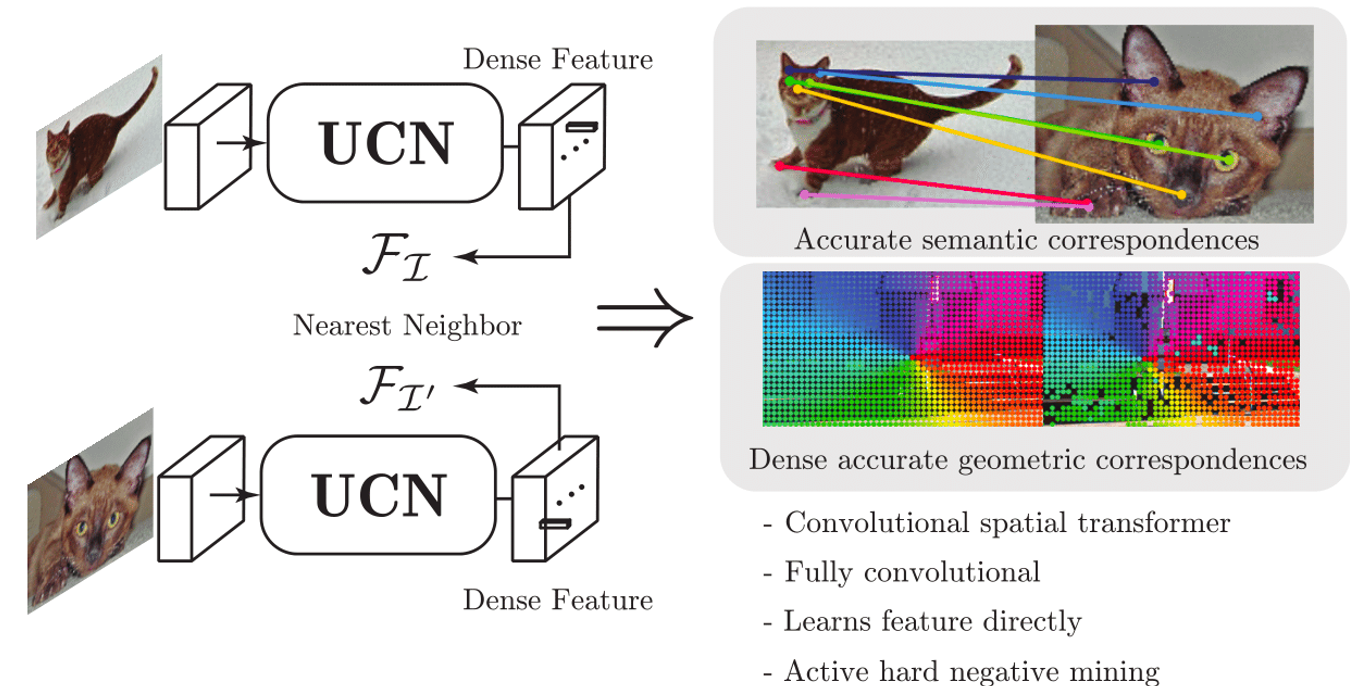 Universal Correspondence Network