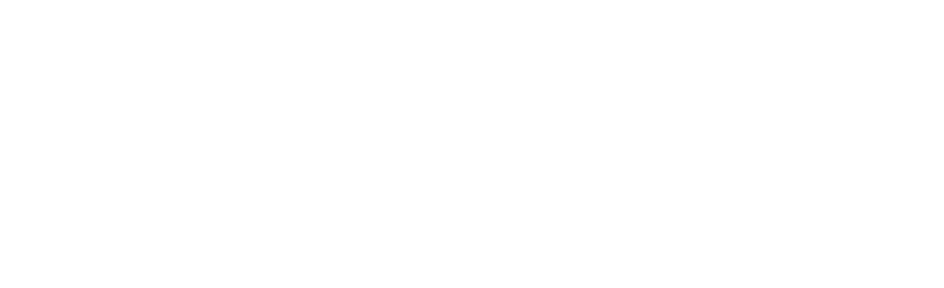 NEC Labs America Logo White Font Transparent