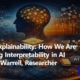 Beyond Explainability How We Are Redefining Interpretability in AI
